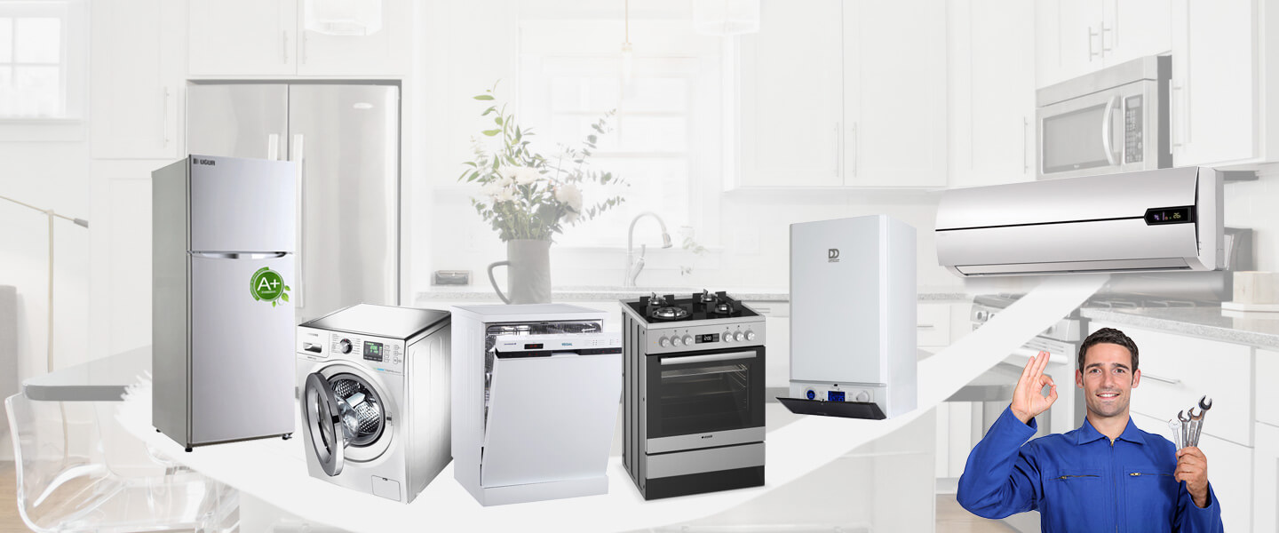 Arguvan Gorenje Servisi